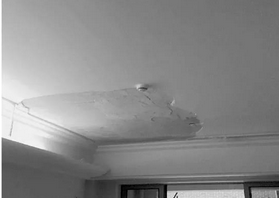 广西天花吊顶厂家提供哪些服务